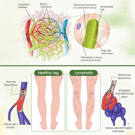 Biancat™ Lymphatic Detox Herbal Cream