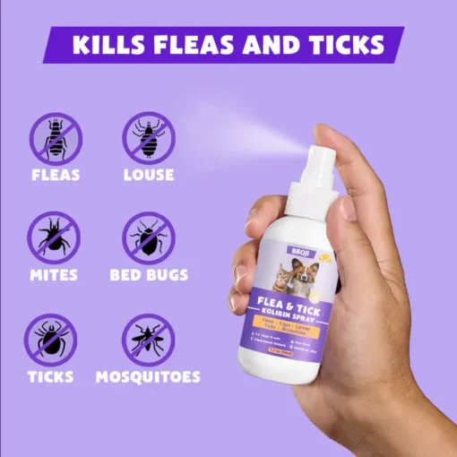 BBOJI™ Flea & Tick Kolirin Spray 🔥 70% Limited Discounts