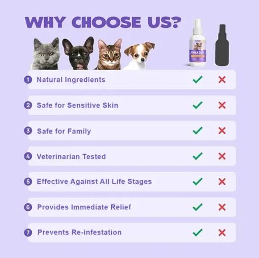 BBOJI™ Flea & Tick Kolirin Spray 🔥 70% Limited Discounts